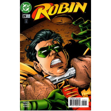 Robin #29
